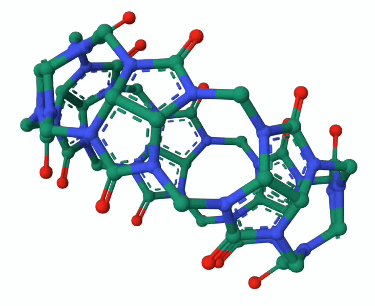 Ball-and-stick model of the macrocyclic host molecule cucurbit[7]uril (CB7)